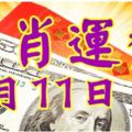 3月11日生肖運勢走向，財神馬上來！