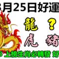 3月25日好運生肖，人財兩旺填旺福！【龍+？+狗+虎+豬+兔】『33288上榜生肖必轉發好運不停』