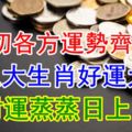 5月初各方運勢齊發，這三大生肖好運大漲，始財運蒸蒸日上