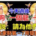 今天過後屬兔狗龍。催旺全家財氣～7月發到12月