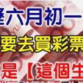 農曆六月初一，這些生肖一定要快去買彩券啊！尤其是『這個生肖』財運當頭，勢不可擋！