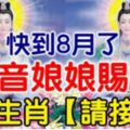 快到8月了，觀音娘娘賜福，【6大生肖，請接喜】