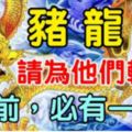 你身邊有屬豬，龍，猴的人嗎？8月前請為他們轉走！必有一喜！