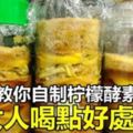 自製檸檬酵素緩解便秘排毒和美白