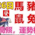 8月26日生肖運勢_馬、豬、狗大吉