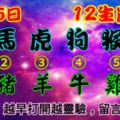 2018年9月15日，星期六農歷八月初六（戊戌年辛酉月庚戌日）