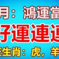 十月：鴻運當頭的三大生肖，好運連連！