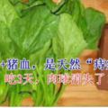 菠菜+豬血，是天然「痔瘡藥」，潤腸通便，吃3天，肉球消失了！