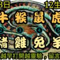 2018年10月23日，星期二農歷九月十五（戊戌年壬戌月戊子日）