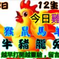 2018年11月8日，星期四農歷十月初一（戊戌年癸亥月甲辰日）