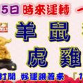 11月15日時來運轉一路發，羊鼠狗虎雞兔，88秒內打開，好運跟著來『16888』