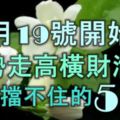 11月19號開始，運勢走高，橫財滔天，富貴擋不住的5大生肖！