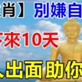 誰屬這6生肖，別嫌自己窮，接下來10天貴人出面助你發財。