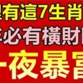 家裡有這7生肖的人，豬年必有橫財臨門，一夜暴富，花錢不愁