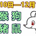 十二生肖一周運勢（12月10日—12月16日）