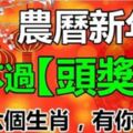 農曆新年前，逃不過【頭獎運】的6個生肖，有你嗎？