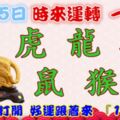 1月15日時來運轉一路發，虎龍雞鼠猴豬，88秒內打開，好運跟著來『16888』