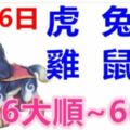 1月26日生肖運勢_虎、兔、羊大吉