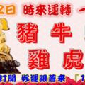 2月2日時來運轉一路發，豬牛蛇雞虎兔，88秒內打開，好運跟著來『16888』