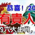 恭喜！2019年最有貴人運的六大生肖，凖