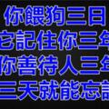 狗，喂三日，三年記；人養三年，三日忘