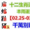十二生肖運勢：本周運勢【02.25-03.03】千萬別錯失！