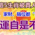 誰屬這5生肖被貴人祝福，豬年內愛人、家財、職位都【配齊】