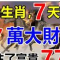 7大生肖，7天7旺，77萬大財運，接住了富貴77年