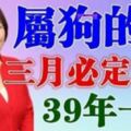 屬狗的人，三月份必定出事！39年一次