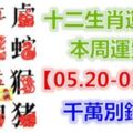 十二生肖運勢：本周運勢【05.20-05.26】千萬別錯失！