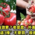 番茄有激素？老菜農：外表有「這3種」不要買，很多人不懂