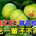  【抗癌之王】就在你身邊！一斤才4塊錢，常吃一輩子不得癌哦！