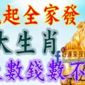 8月17號開始全家發，接到財運，每天數錢數不完的生肖