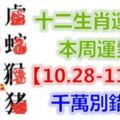 十二生肖運勢：本周運勢【10.28-11.03】千萬別錯失！