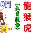 6月30日生肖運勢_龍、牛、猴大吉