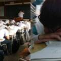 台灣人從小就過勞！台灣學生平均睡眠「遠低於國際」！高一生只睡5小時「天天早餐配咖啡」！