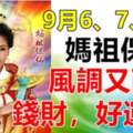 9月6、7、8日媽祖保佑，風調又雨順，好運來的生肖