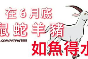 在6月底，能夠如魚得水的四大生肖！(你是其中嗎？)