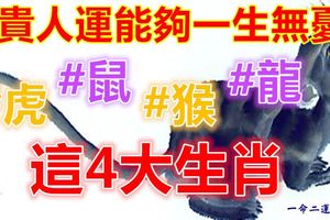 這4大生肖走貴人運能夠一生無憂！如有必轉！