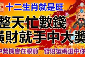 十二生肖就是旺！橫財就手中大獎，整天忙數錢。中獎機會在眼前，發財號碼選中你。