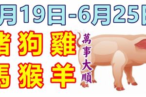 12生肖周運勢！豬、狗、雞、馬、猴、羊！萬事大順！（6月19日—6月25日