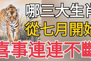 哪三大生肖從七月開始喜事連連不斷