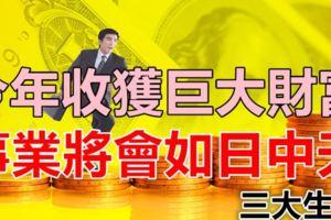 在今年收獲巨大財富的三大生肖，事業將會如日中天！