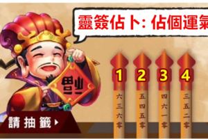 靈簽佔卜：福到，沾沾福氣，為自己佔個運氣！請抽一支簽！