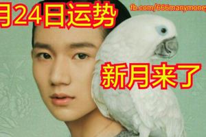 十二星座6月24日運勢新月來了~