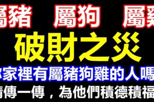 你家裡有屬豬狗雞的人嗎？他們未來三個月，難逃破財之災！