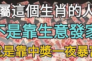 屬這個生肖的人，不是靠生意發家，就是靠中獎一夜暴富