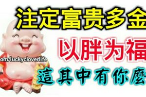 這些生肖以胖為福，註定富貴多金，這其中有你麼？