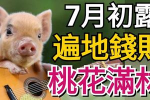 7月初露，遍地錢財，桃花滿林的3大生肖，有你麼？