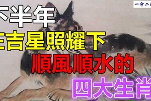 下半年在吉星照耀下順風順水的四大生肖！